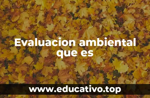 Evaluacion ambiental que es