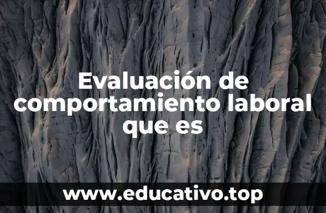 Evaluación de comportamiento laboral que es