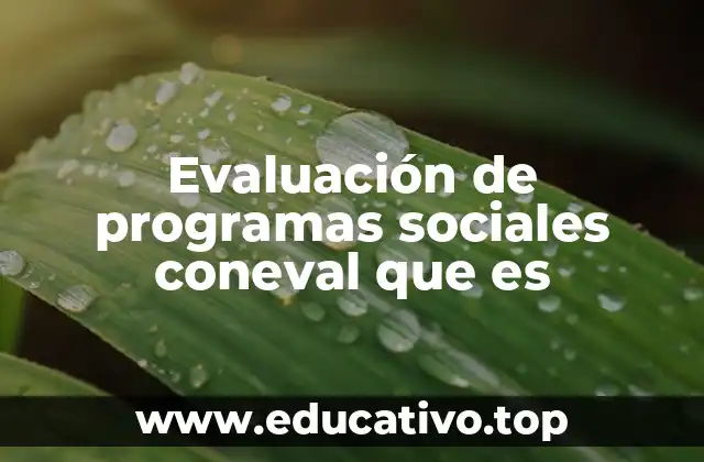Evaluación de programas sociales coneval que es