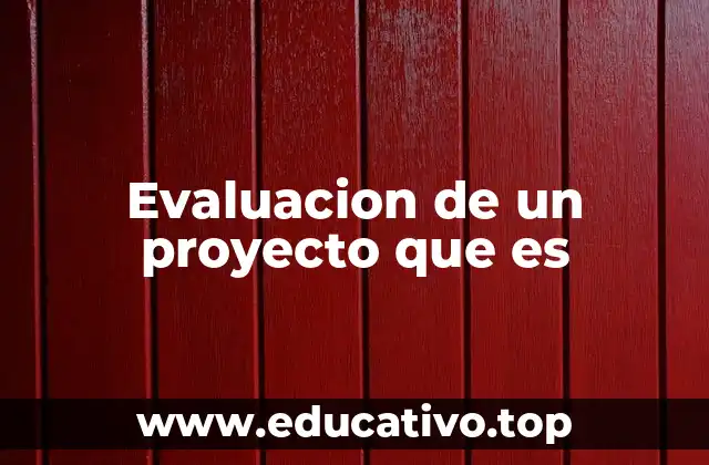 Evaluacion de un proyecto que es