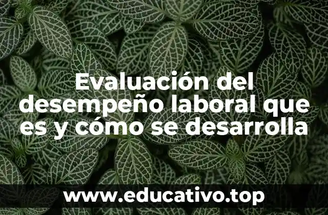 Evaluación del desempeño laboral que es y cómo se desarrolla