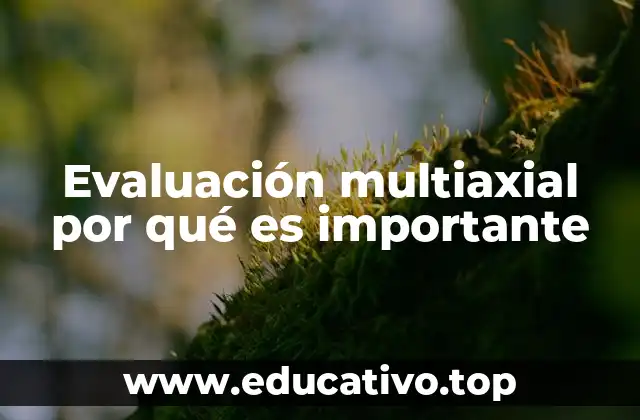 Evaluación multiaxial por qué es importante