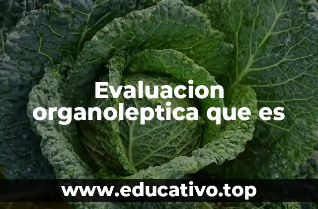 Evaluacion organoleptica que es