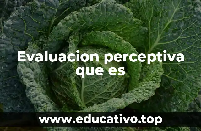 Evaluacion perceptiva que es
