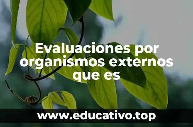 Evaluaciones por organismos externos que es