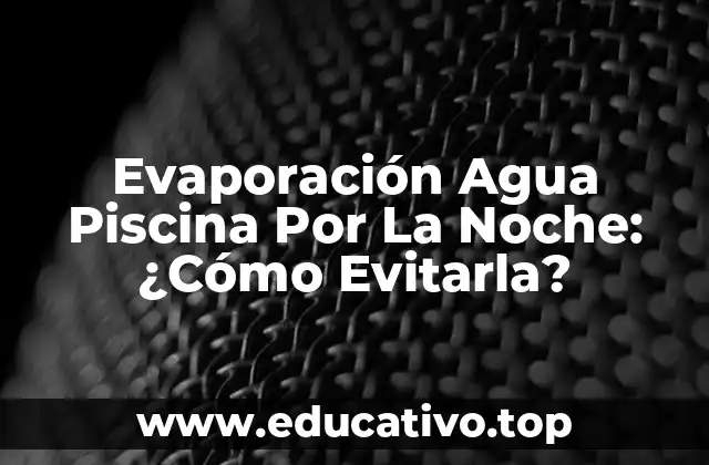 Evaporación Agua Piscina Por La Noche: ¿Cómo Evitarla?