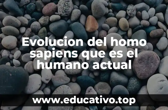 Evolucion del homo sapiens que es el humano actual