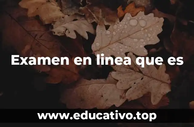 Examen en linea que es