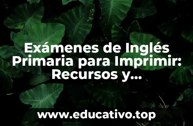 Exámenes de Inglés Primaria para Imprimir: Recursos y Herramientas para Padres y Maestros