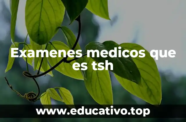 La importancia de la TSH en la salud general