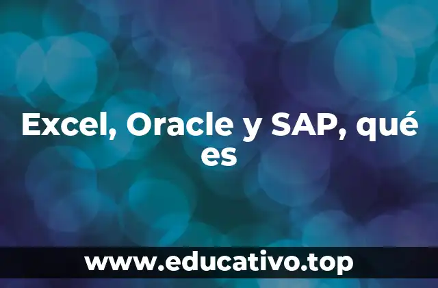 Excel, Oracle y SAP, qué es