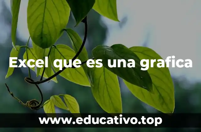 Excel que es una grafica