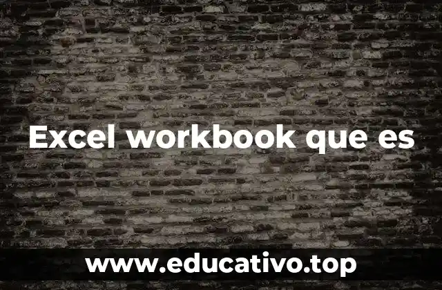 Excel workbook que es