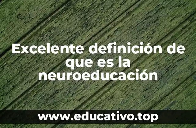 Cómo la neurociencia transforma la educación