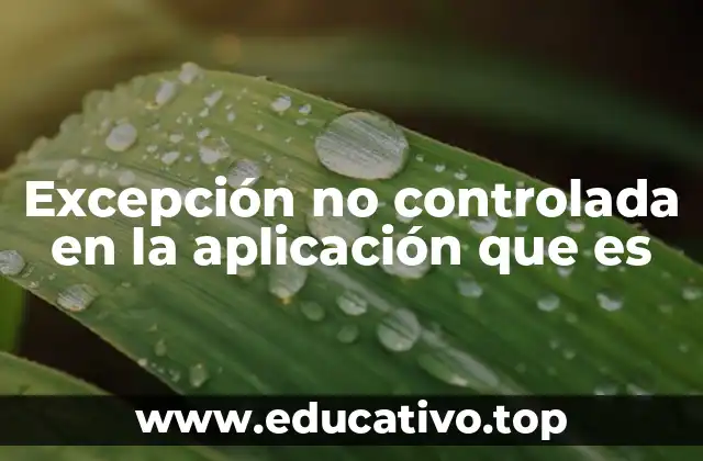 Excepción no controlada en la aplicación que es