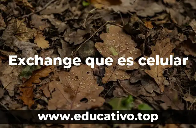 El papel de los exchanges en las redes móviles