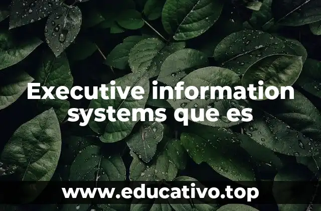 Executive information systems que es