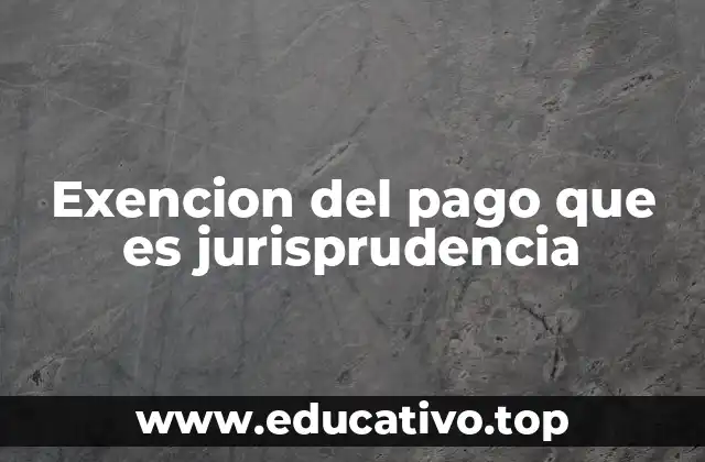 Exencion del pago que es jurisprudencia