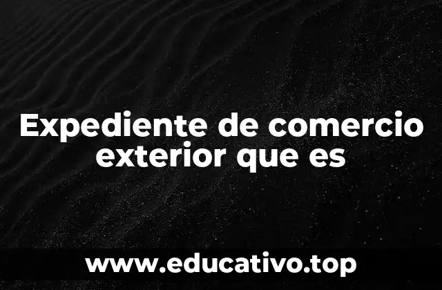 Expediente de comercio exterior que es
