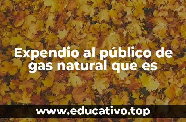 Expendio al público de gas natural que es