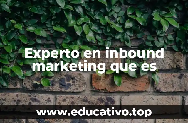 El rol del especialista en atraer audiencias digitales