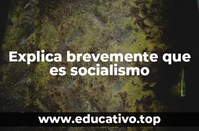 Explica brevemente que es socialismo