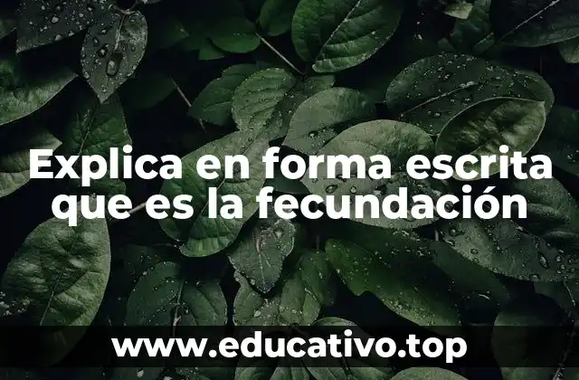 Explica en forma escrita que es la fecundación