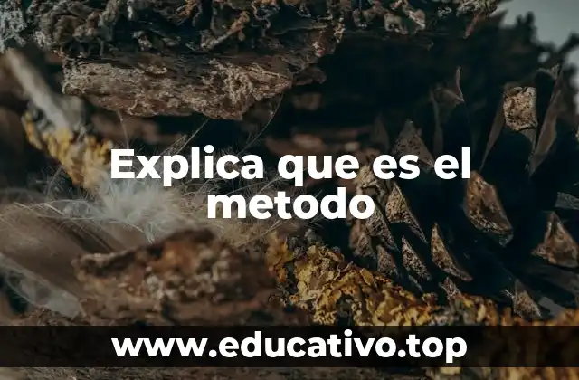 Explica que es el metodo