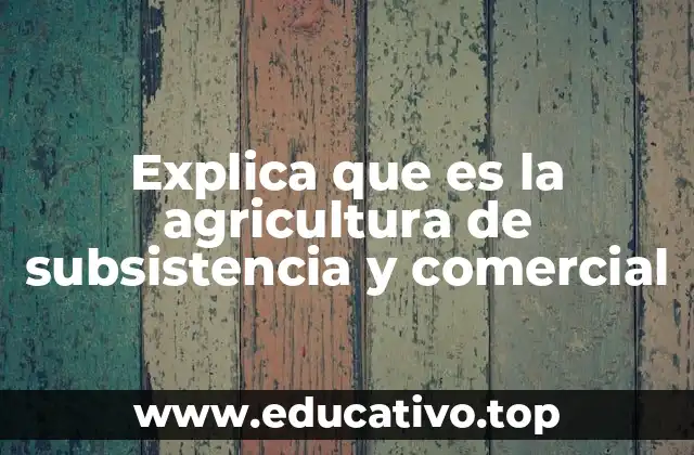 Explica que es la agricultura de subsistencia y comercial