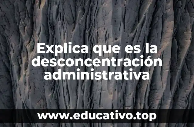 La organización interna del Estado y su importancia