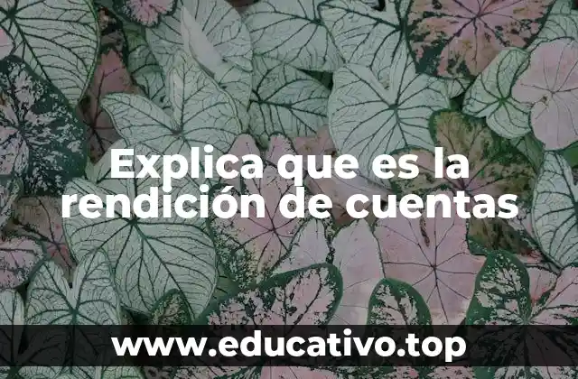 Explica que es la rendición de cuentas