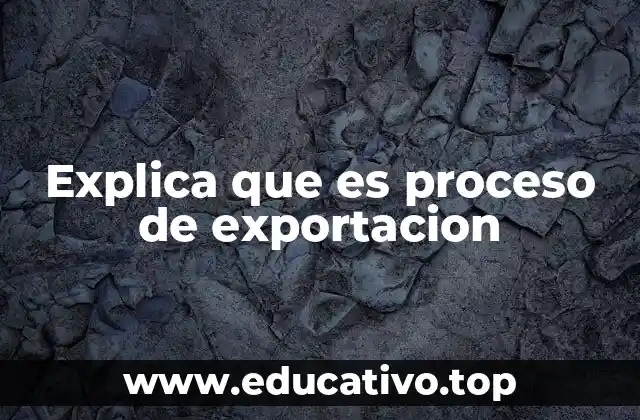 Explica que es proceso de exportacion