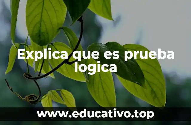 Explica que es prueba logica