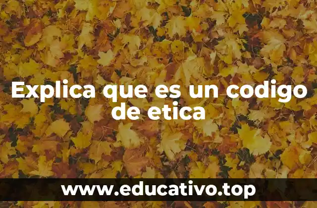Explica que es un codigo de etica