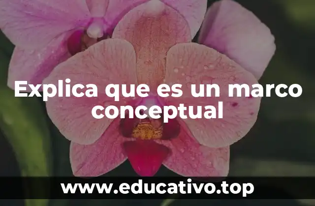 Explica que es un marco conceptual