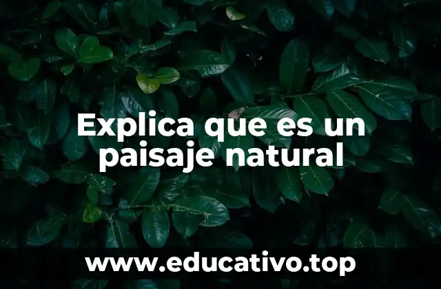 Características de los paisajes naturales