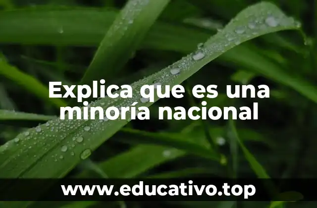 Explica que es una minoría nacional