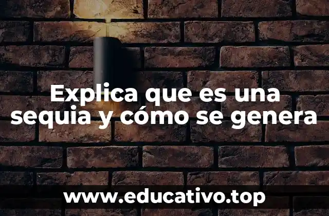 Explica que es una sequia y cómo se genera
