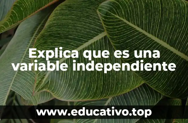Explica que es una variable independiente