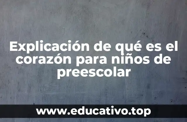 Explicación de qué es el corazón para niños de preescolar