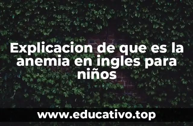 Explicacion de que es la anemia en ingles para niños