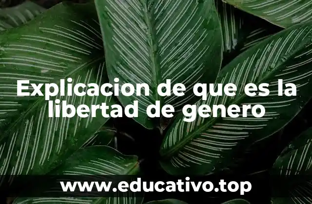 Explicacion de que es la libertad de genero