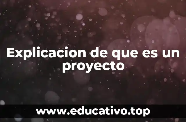 Explicacion de que es un proyecto
