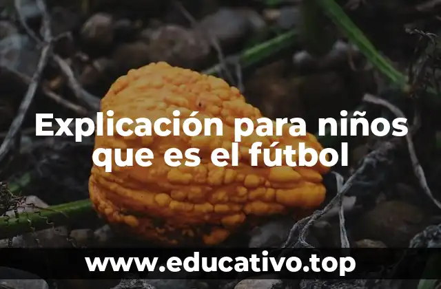 Explicación para niños que es el fútbol
