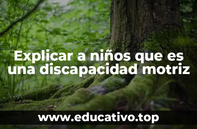 Explicar a niños que es una discapacidad motriz