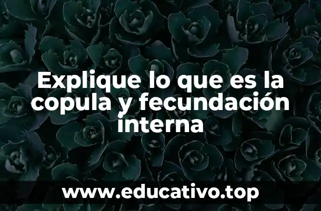 Explique lo que es la copula y fecundación interna