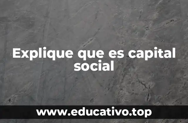 Explique que es capital social