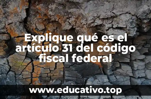 Explique qué es el artículo 31 del código fiscal federal
