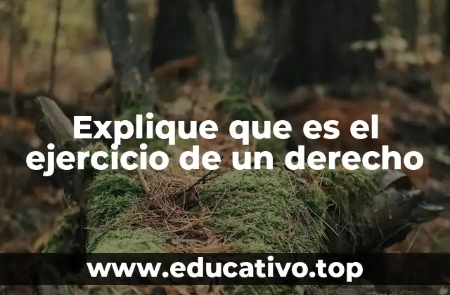 Explique que es el ejercicio de un derecho