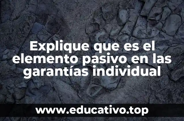 Explique que es el elemento pasivo en las garantías individual